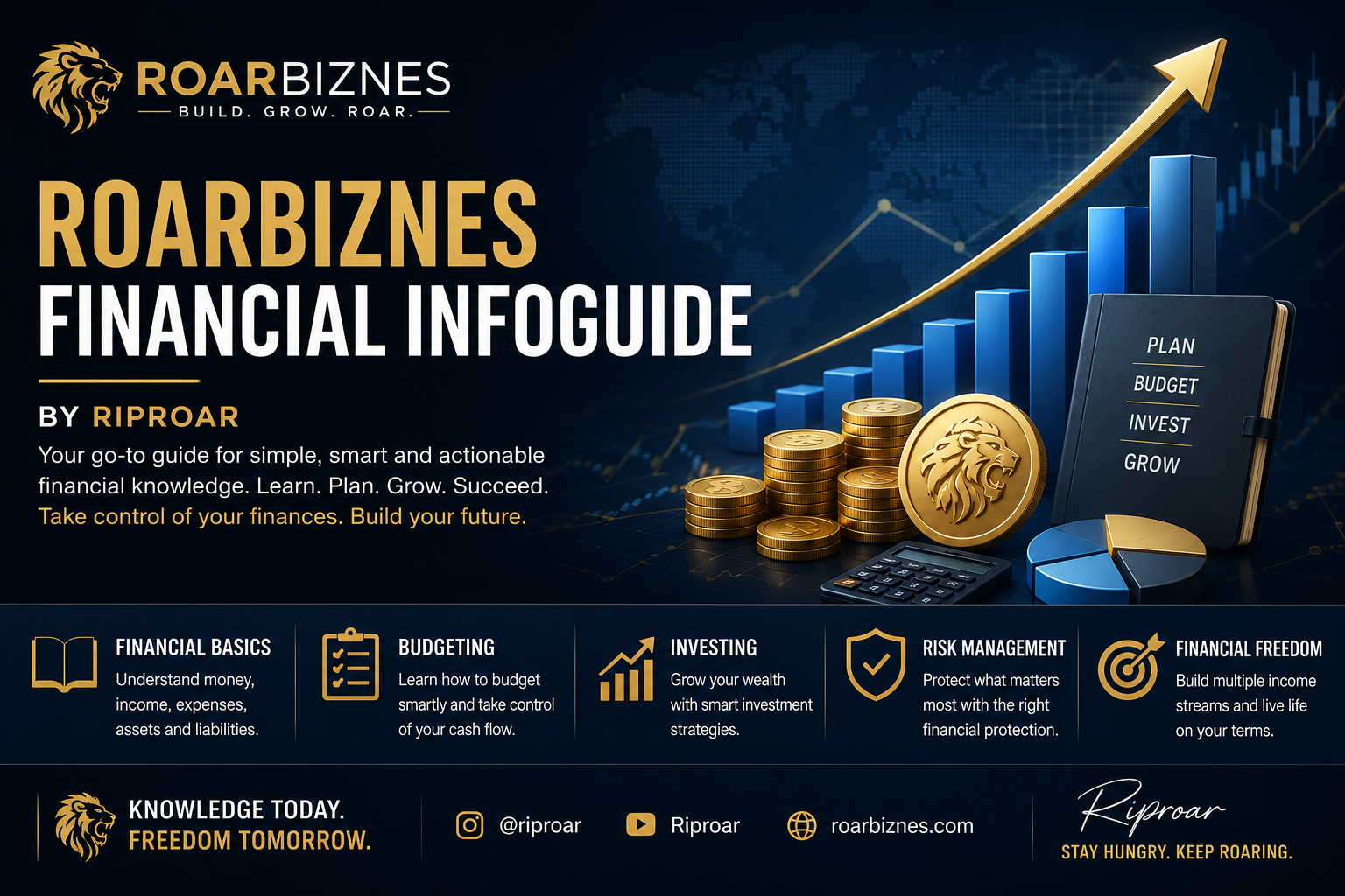 Roarbiznes Financial Infoguide by Riproar